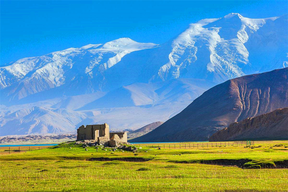 帕米爾高原的香鼬為何散發(fā)一種香氣？