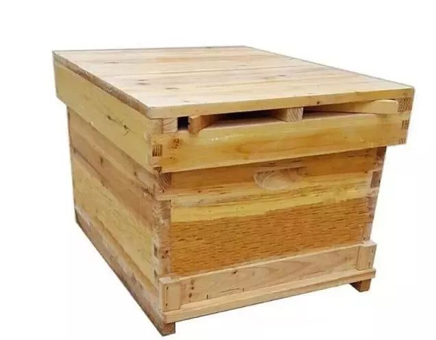 養(yǎng)蜂幾月份開始養(yǎng)（養(yǎng)蜂什么時(shí)候最適宜）