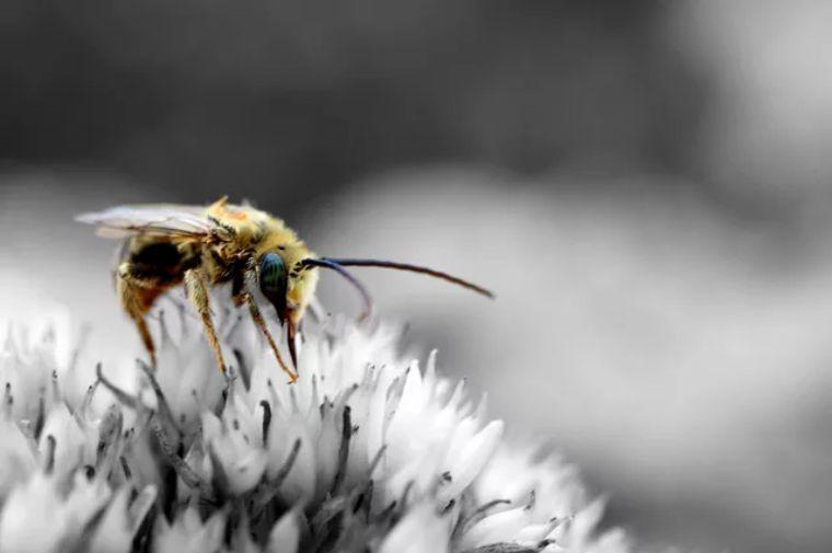 冬天會(huì)有螨蟲(chóng)嗎（冬天螨蟲(chóng)多還是夏天螨蟲(chóng)多）