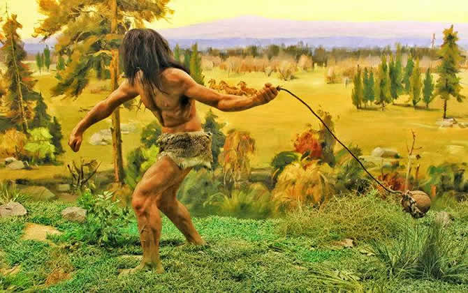 先有人類還是先有蜜蜂？